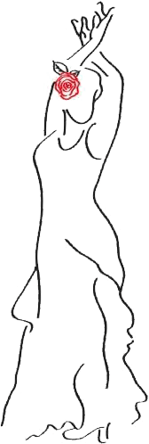 Flamenco Illustration